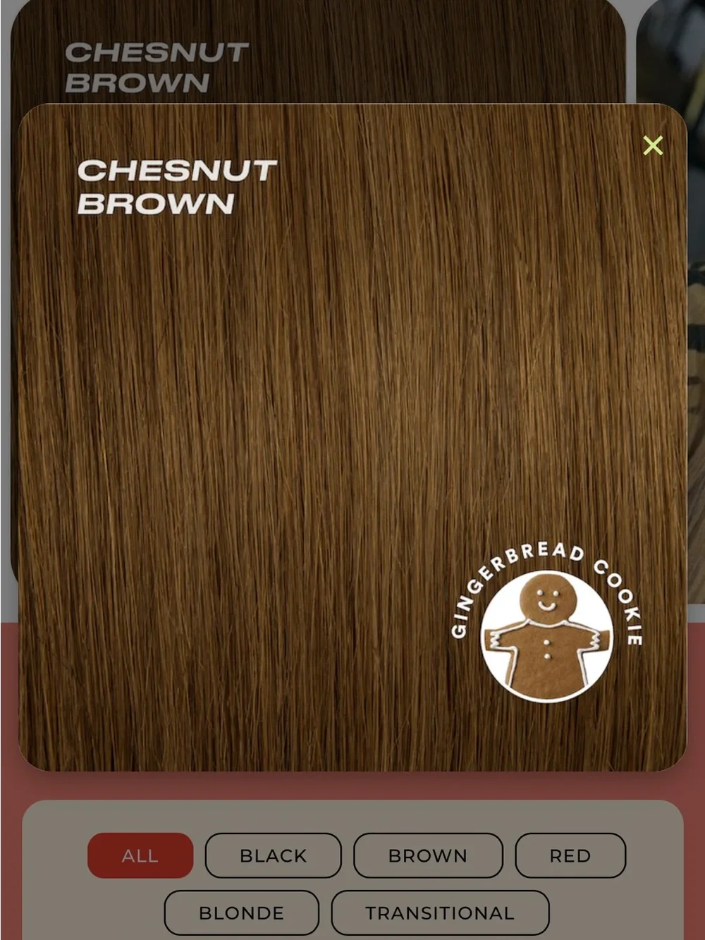 INH Human hair Zooey bangs light brown chestnut brown NWT